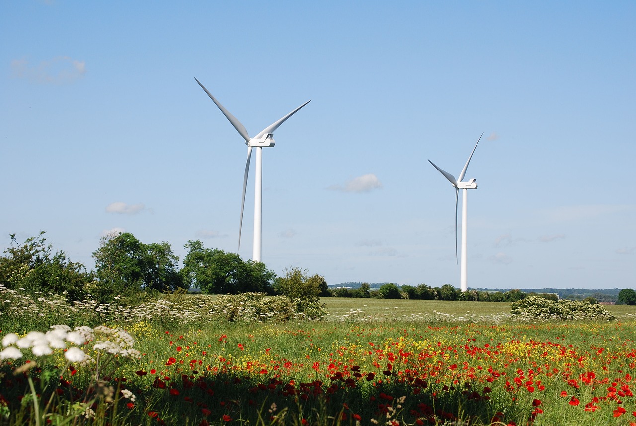 Eco-Friendly Innovations in Lighting Technology